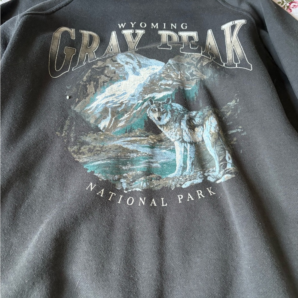 2/35$🍓⭐️ Ardene Gray Peak National Park Sweatshirt
